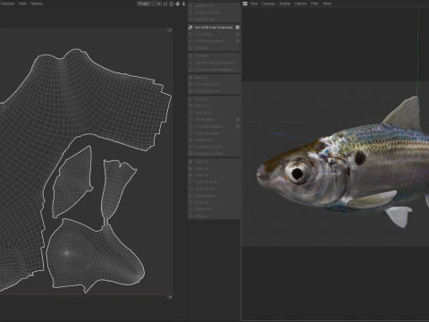 Ryba Threadfin Shad Model 3D