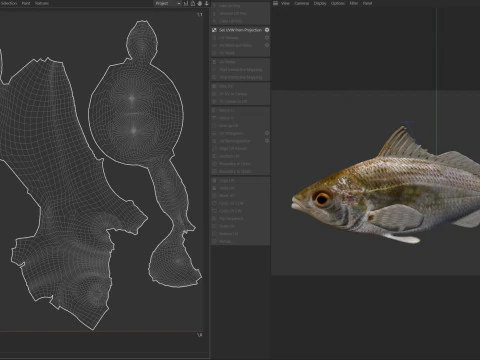 Tidewater Mojarra fish 3D Model