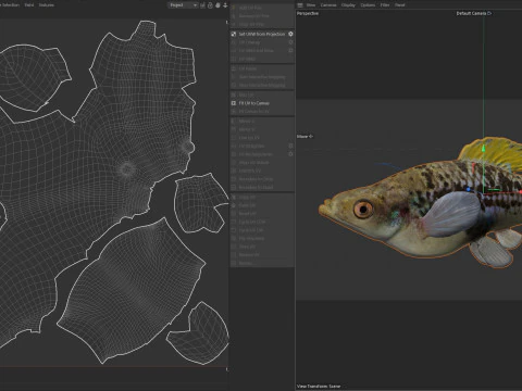 Variable Platyfish 3D Model