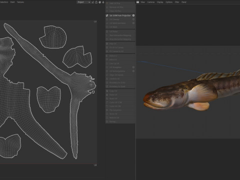 Violet Goby fish 3D Model