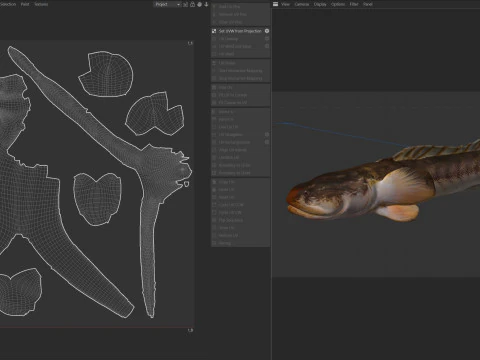 Violet Goby fish 3D Model