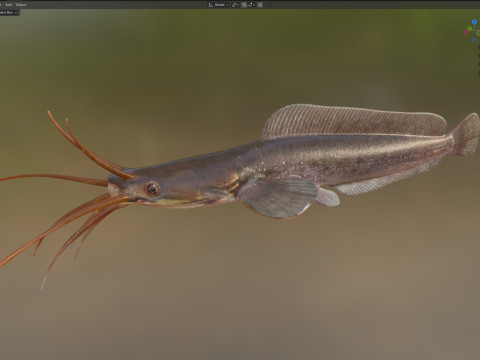 行走的鲶鱼 3D 模型