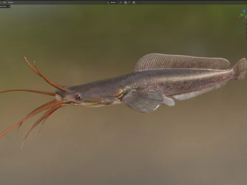 Poisson-chat ambulant Modèle 3D