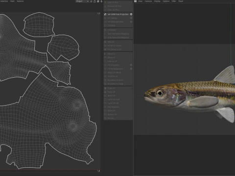 Weed Shiner fish 3D Model