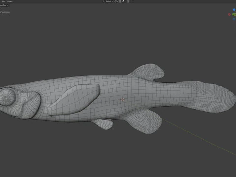 Western Starhead Topminnow fish 3D Model