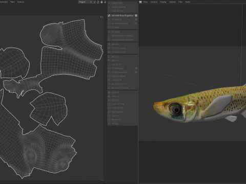 Western Starhead Topminnow fish 3D Model