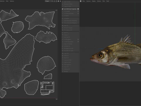 White Bass fish 3D Model
