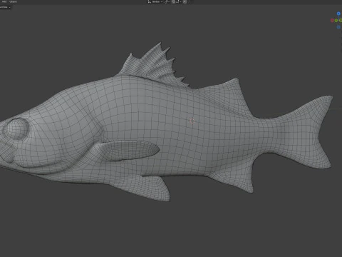 White Bass fish 3D Model