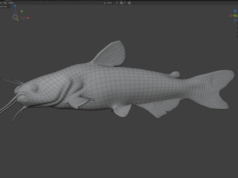 Wei&szlig;er Wels 3D Modell