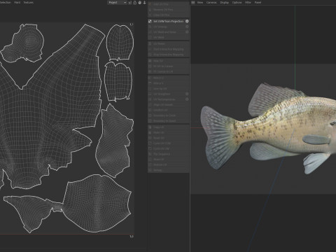 White Crappie fish 3D Model