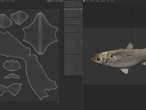 White Mullet fish 3D Model