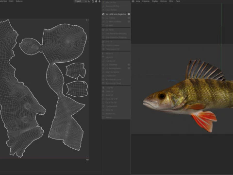 Yellow Perch fish 3D Model