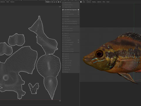 Yellowbelly Cichlid fish 3D Model
