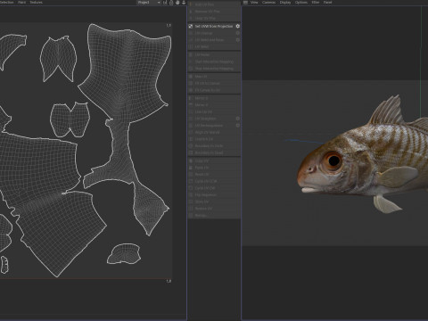 Spot fish 3D Model