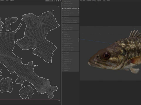 Spotted Bass fish 3D Model