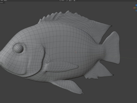 Spotted Tilapia fish 3D Model