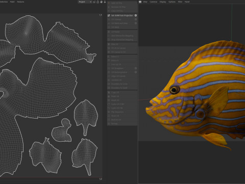Kaiserfisch Blueline-Fisch 3D Modell