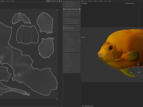 Clarim de peixe-anjo Modelo 3D