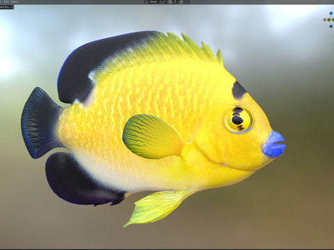 Floco dourado de peixe-anjo Modelo 3D