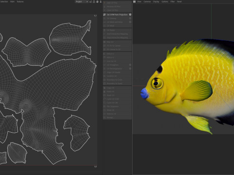 Floco dourado de peixe-anjo Modelo 3D