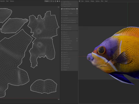 Angelfish Majestic 3D Model