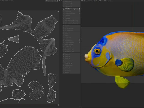 Reina del pez &aacute;ngel Modelo 3D