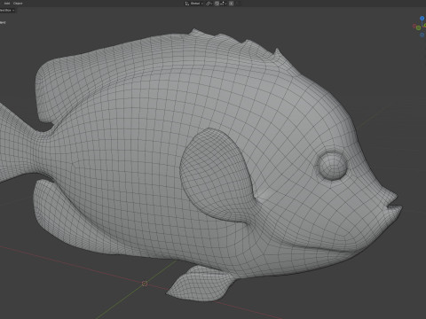 エンゼルフィッシュ クイーンズランド州 3Dモデル