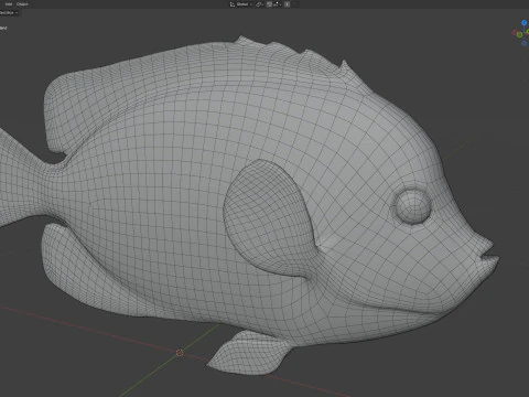 Melek balığı Queensland 3D Model