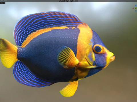 Angelfish Scribbled 3D Model