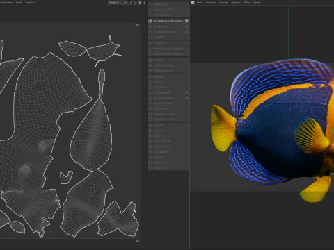 神仙鱼潦草的 3D 模型