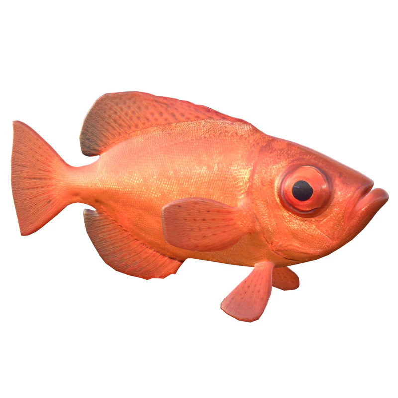 Aweoweo pesce dentice dagli occhi grandi Modello 3D .c4d .max .obj .3ds .fbx .stl .blend 