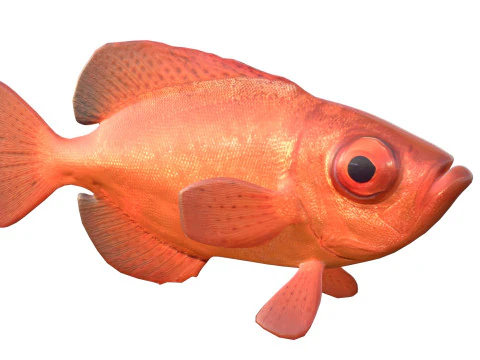 Aweoweo pesce dentice dagli occhi grandi Modello 3D
