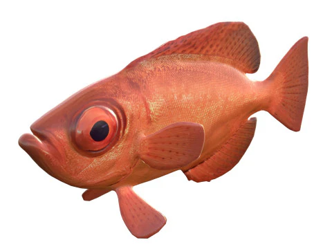 Aweoweo pesce dentice dagli occhi grandi Modello 3D