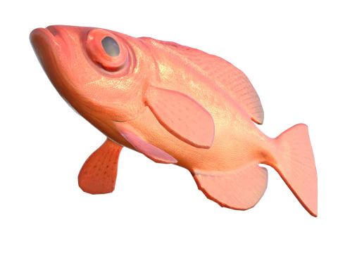 Aweoweo pesce dentice dagli occhi grandi Modello 3D