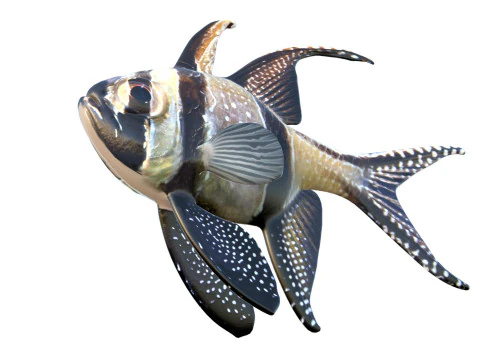 Kardynał Banggajski Model 3D