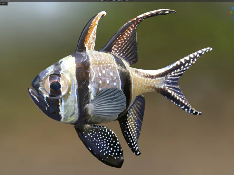 Kardynał Banggajski Model 3D