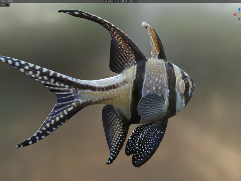 Kardynał Banggajski Model 3D