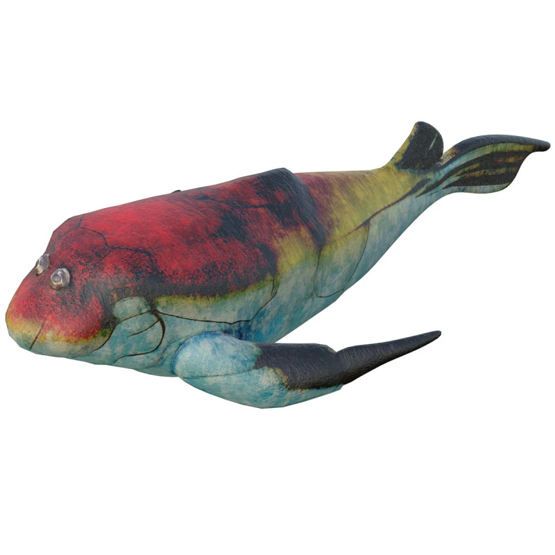 Bothriolepis fish 3D Model .c4d .max .obj .3ds .fbx .stl .blend 