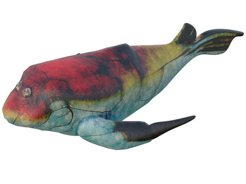 Bothriolepis fish 3D Model