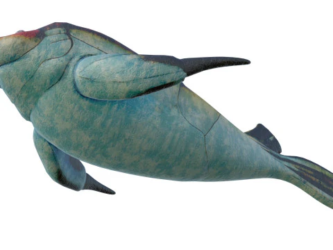 Bothriolepis fish 3D Model