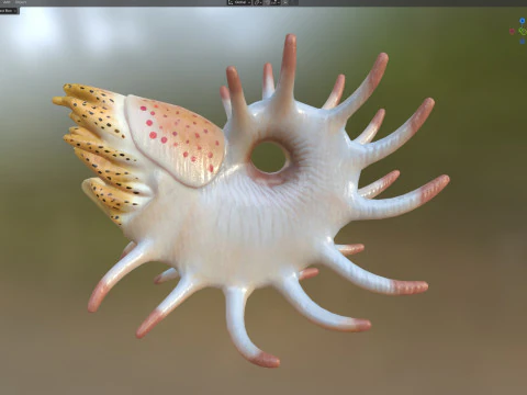 Cooperoceras fish 3D Model
