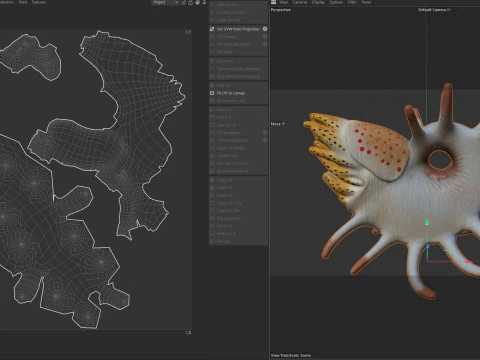 Cooperoceras fish 3D Model
