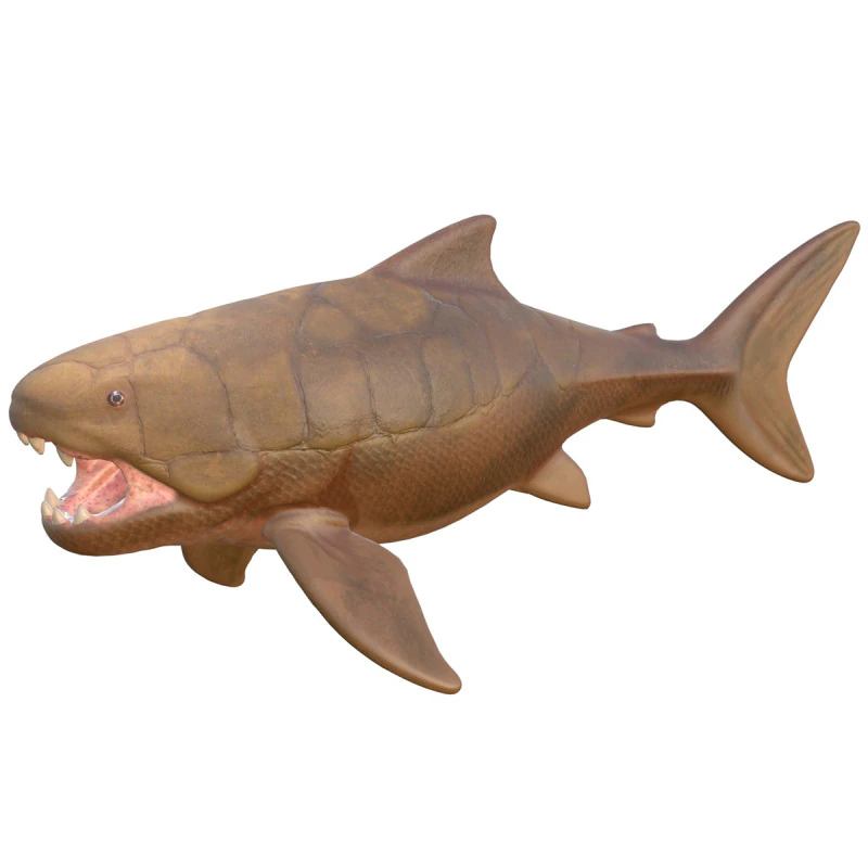 Dunkleosteus fish 3D Model .c4d .max .obj .3ds .fbx .stl .blend