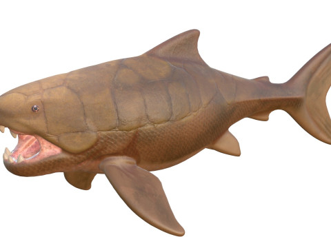 Dunkleosteus-Fisch 3D Modell