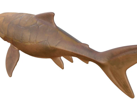 Dunkleosteus fish 3D Model