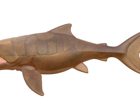 Dunkleosteus-Fisch 3D Modell