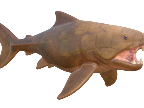 Dunkleosteus fish 3D Model