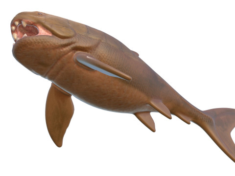 Dunkleosteus-Fisch 3D Modell
