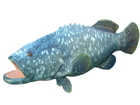 Ryba Goliat Grouper Model 3D