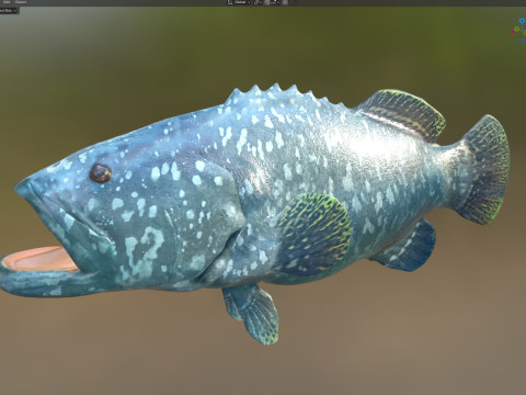 Poisson m&eacute;rou Goliath Modèle 3D